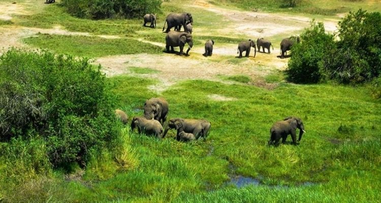 Exploring Akagera National Park